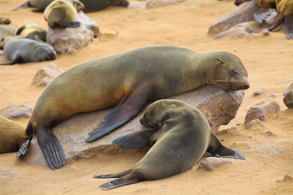 L'heure de la sieste