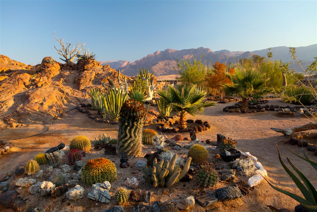 Camp de White Lady, au pied du Brandberg