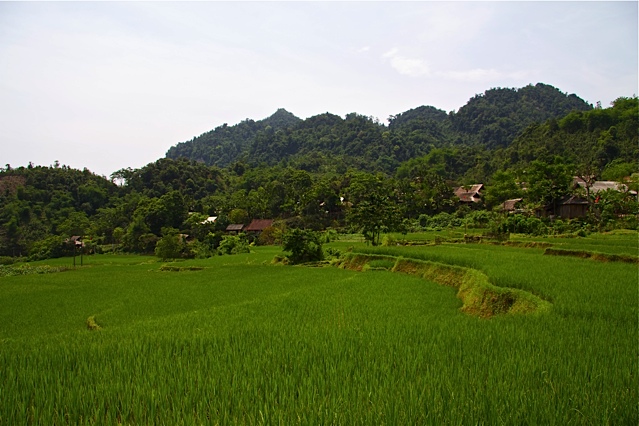 Exploration du Ngoc Son Ngo Luong Nature Reserve