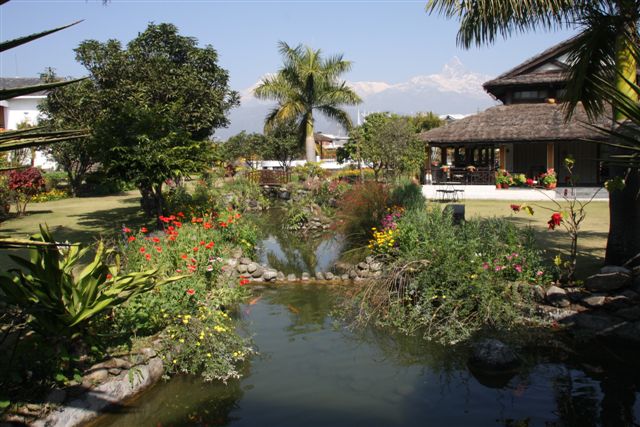 Fin du trek et retour à Pokhara (800 m)