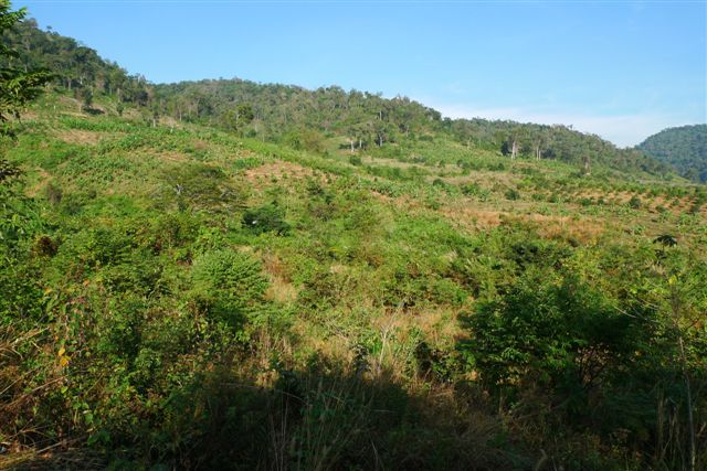 A l'assaut du Mont Bokor