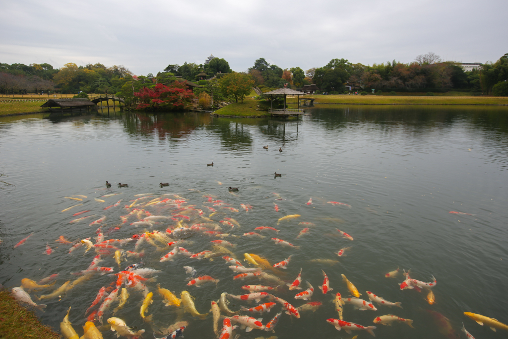 20151109 Okayama et Hiroshima-3