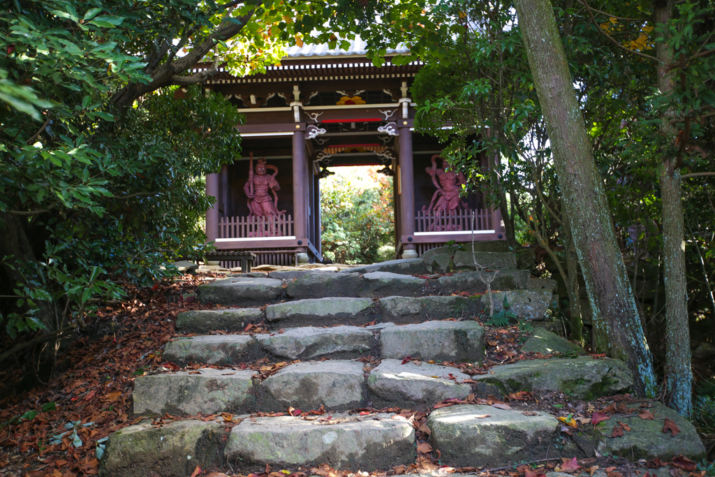 20151110 Miyajima-12