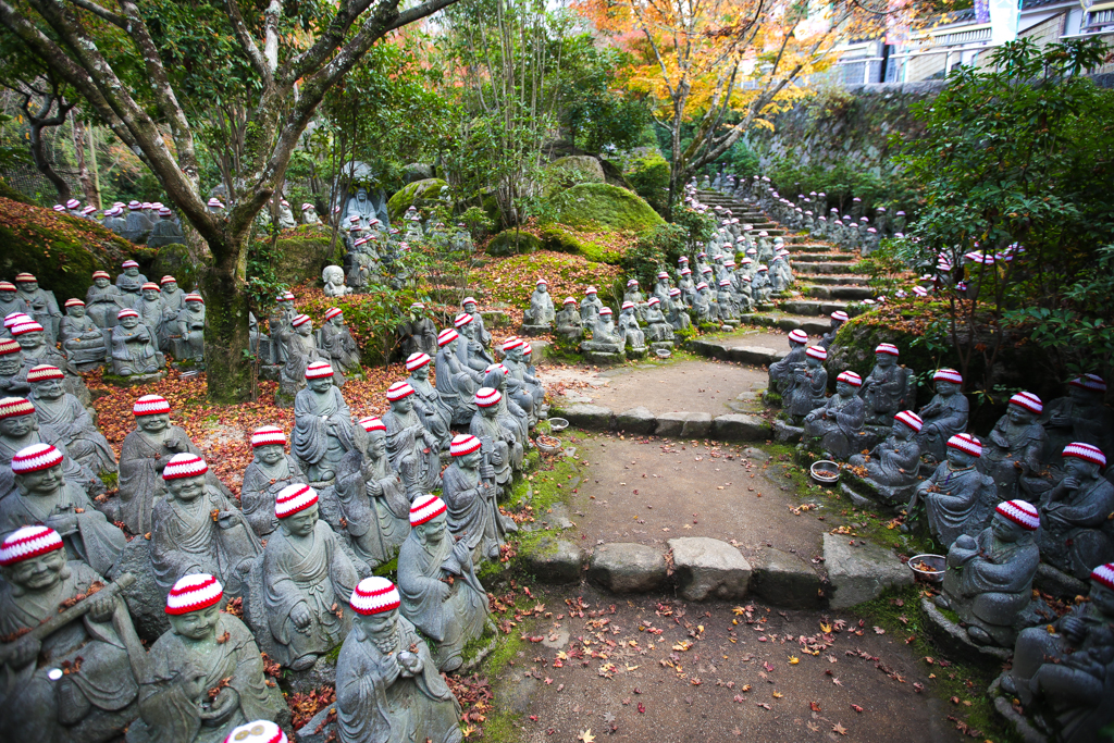 20151110 Miyajima-14