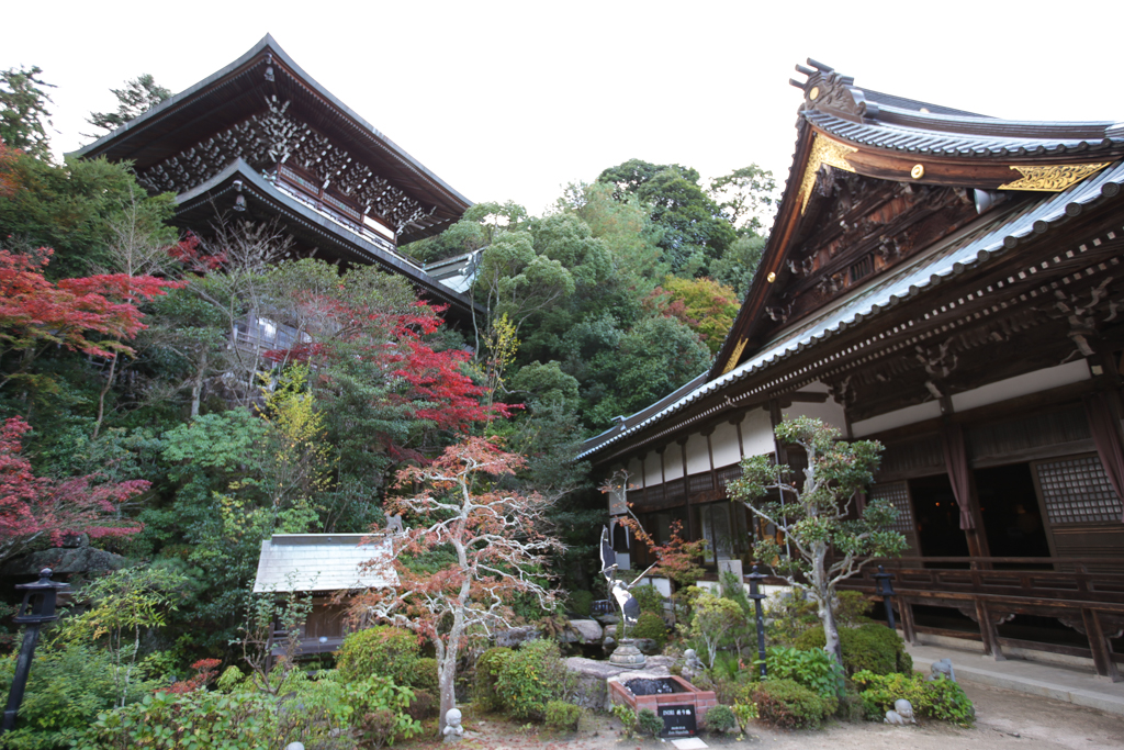 20151110 Miyajima-15