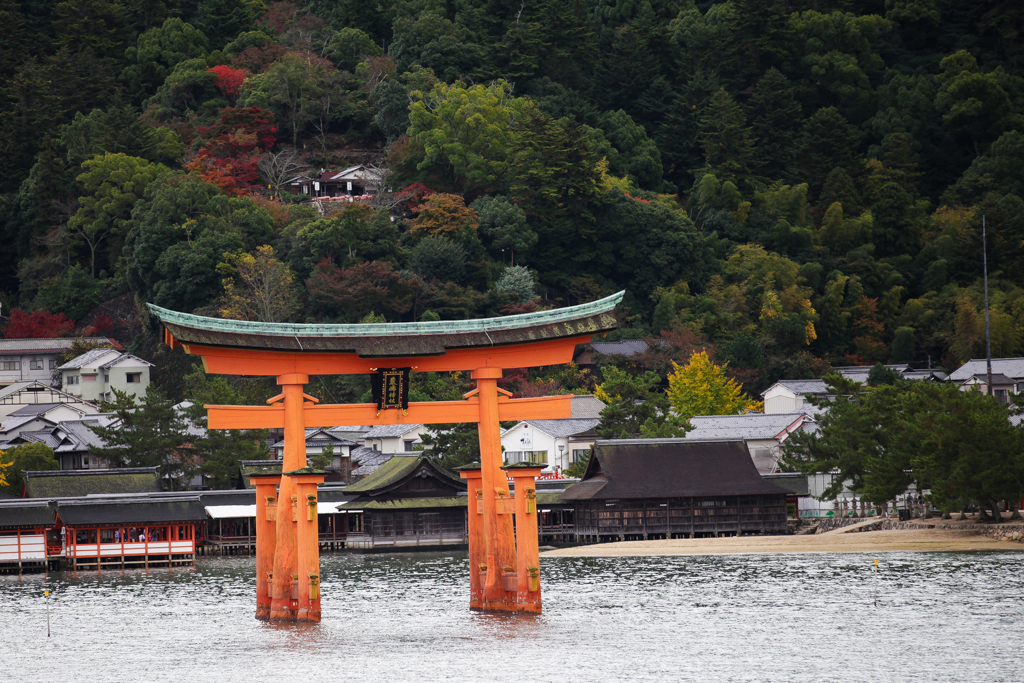 20151110 Miyajima-2