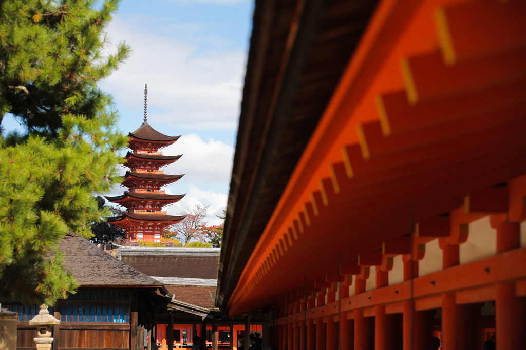 20151110 Miyajima-6