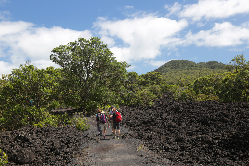 Sur le sentier de montée au volcan Rangitoto