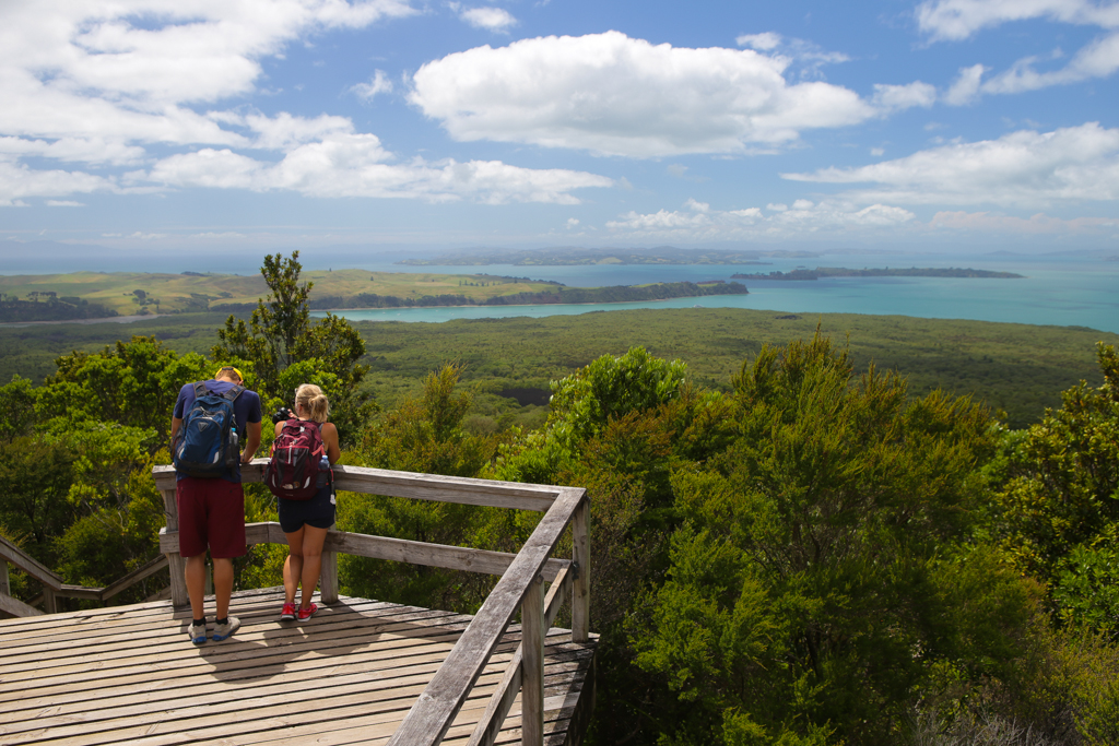 Depuis le sommet de Rangitoto