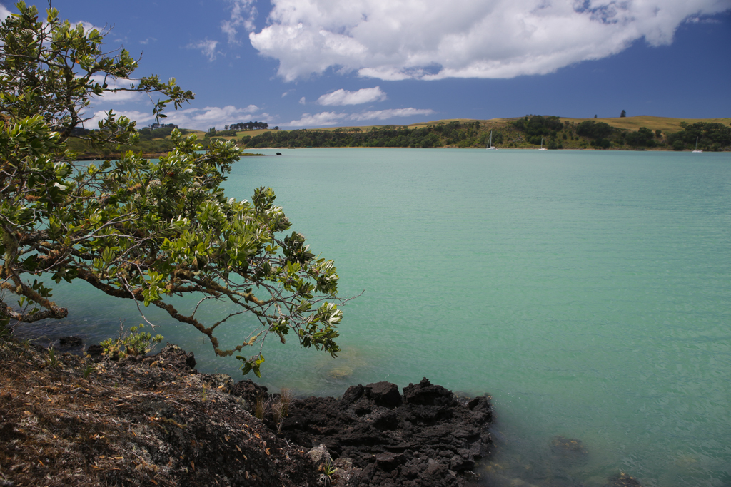 Le début du Coastal Trek