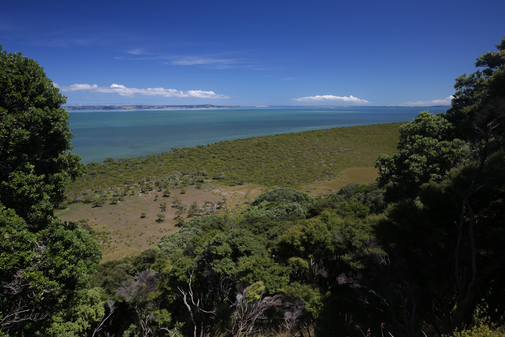 20160123 Baie de Kaipara et Muriwai-4