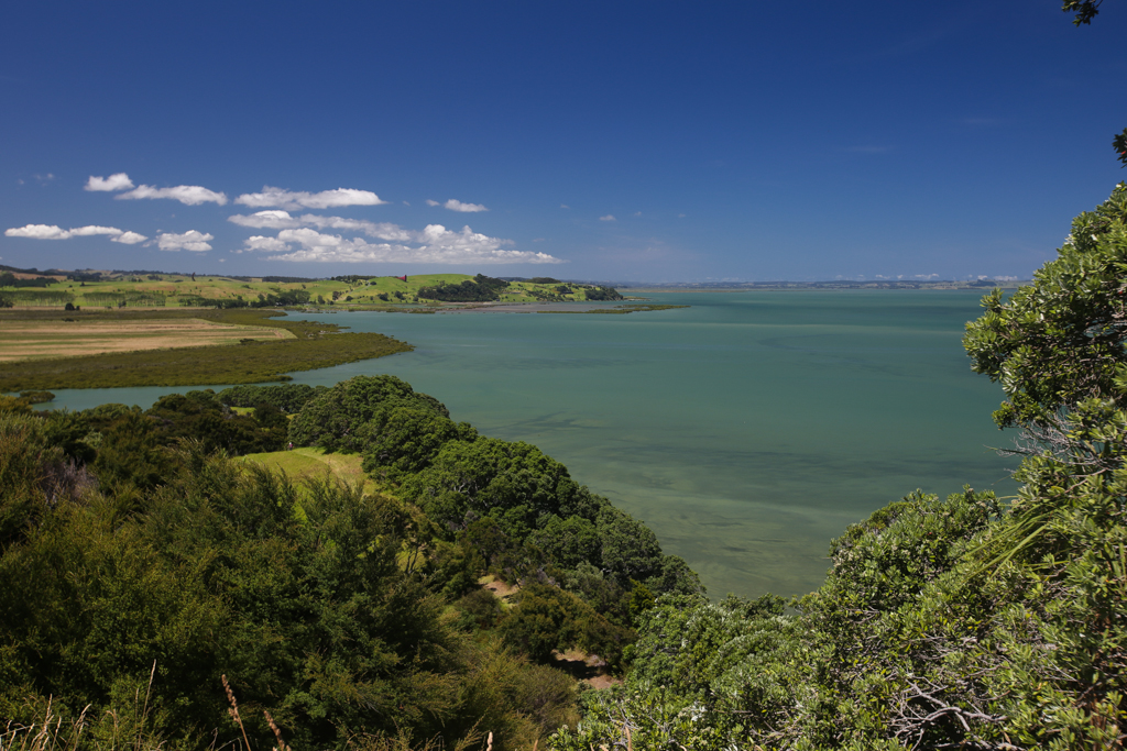 20160123 Baie de Kaipara et Muriwai-5