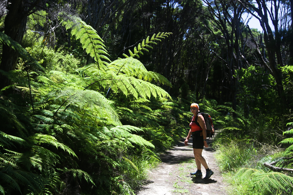 20160123 Baie de Kaipara et Muriwai-6