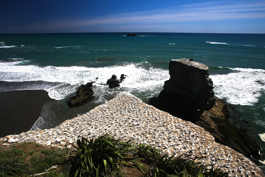 20160123 Baie de Kaipara et Muriwai-7