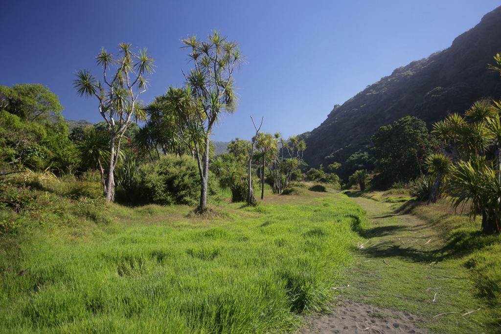 20160124 Waitakere au Skotel-6