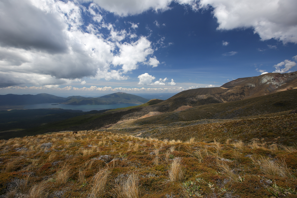 20160125 Tongariro Alpine Crossing-12