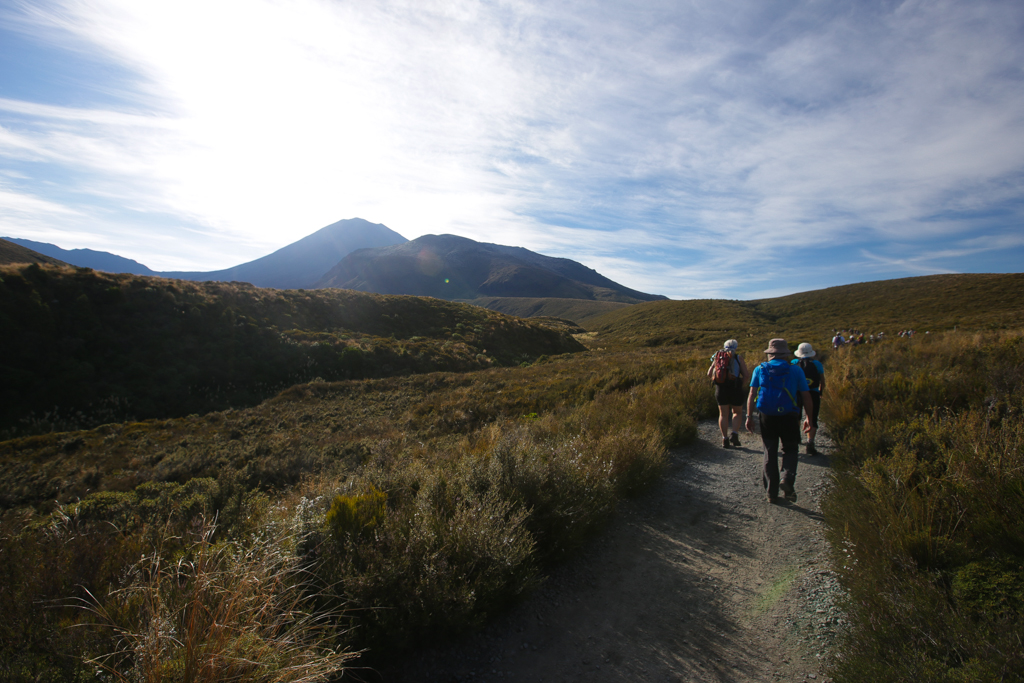 20160125 Tongariro Alpine Crossing-2