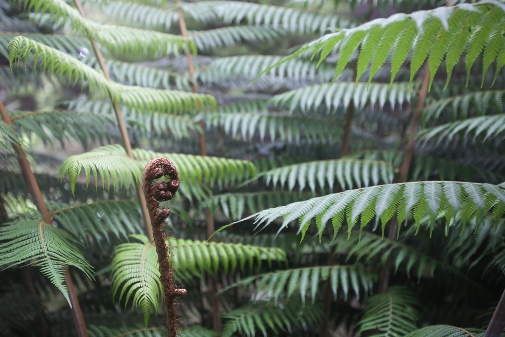 20160130 Abel Tasman NP-13