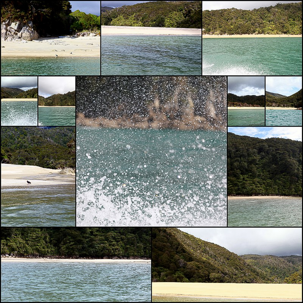 20160130 Abel Tasman NP-2