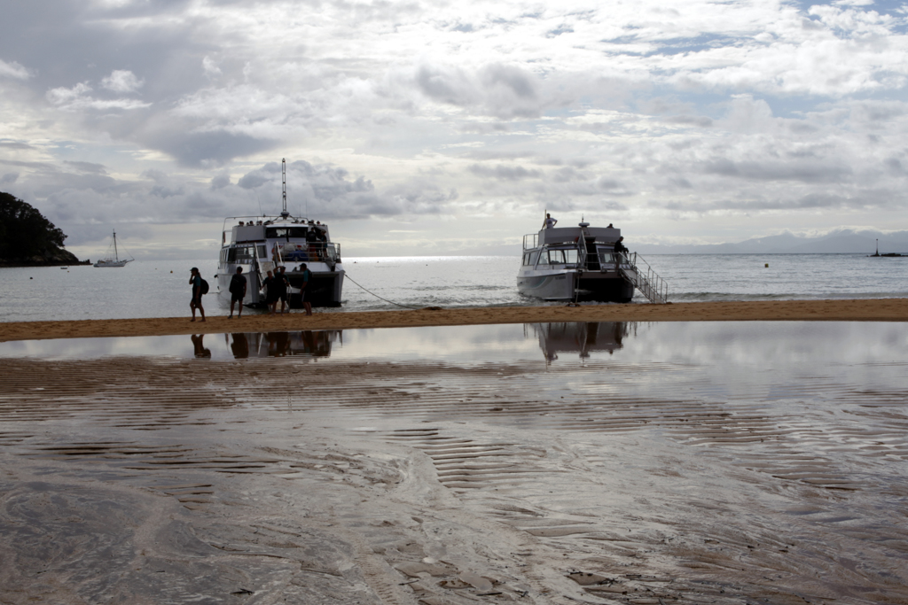 20160130 Abel Tasman NP-3