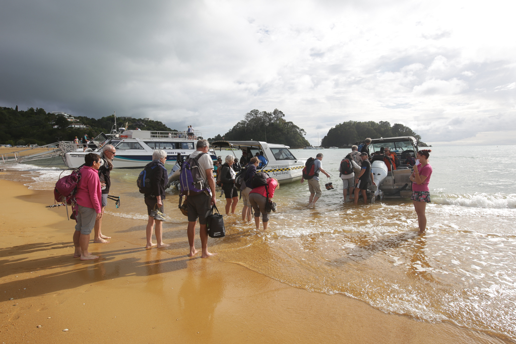 20160130 Abel Tasman NP-4