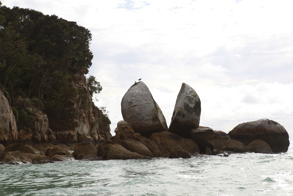 20160130 Abel Tasman NP-5