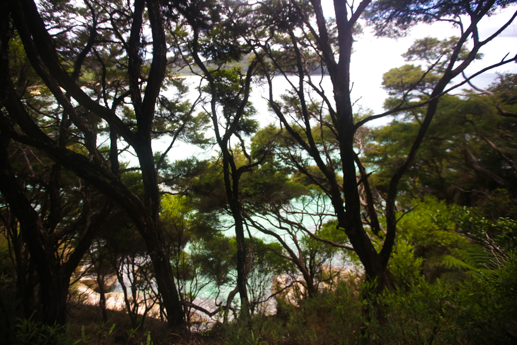 20160130 Abel Tasman NP-9