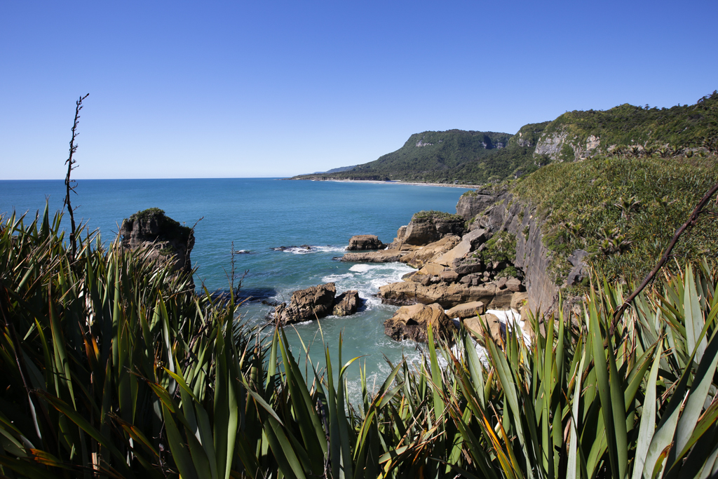 20160131 Cape Foulewind et Punakaiki-7