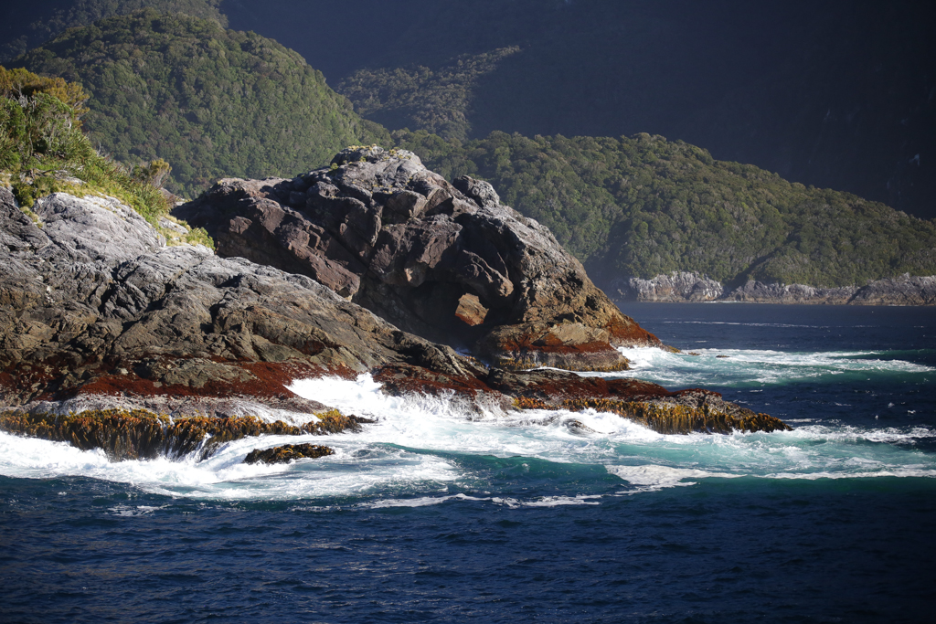 20160206 Doubtful Sound-10