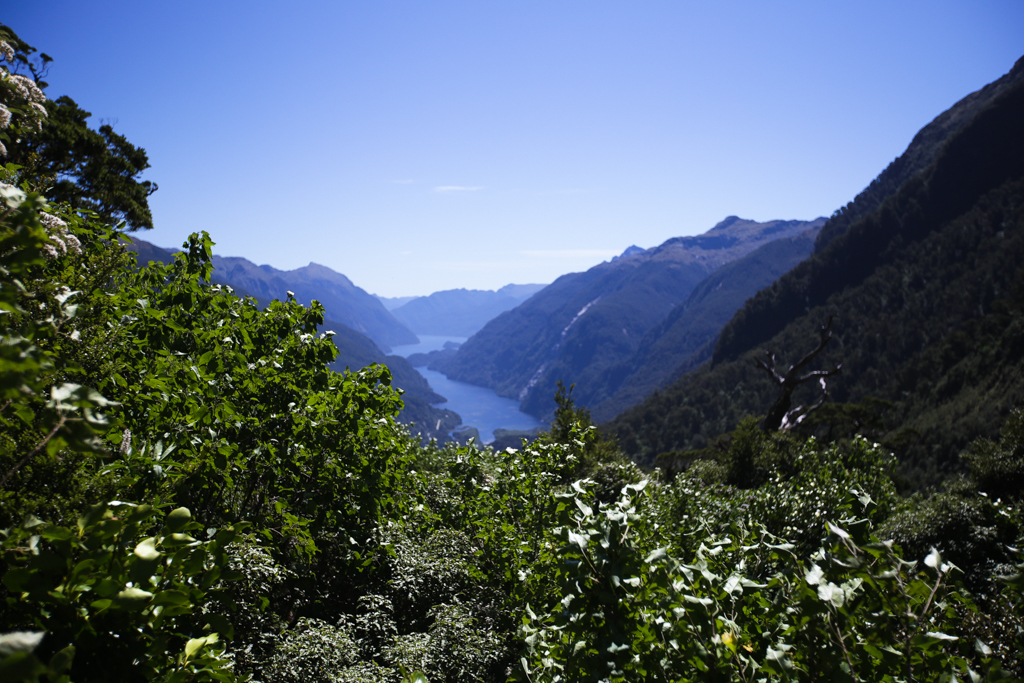 20160206 Doubtful Sound-2