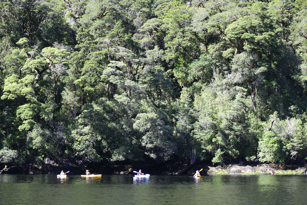 20160206 Doubtful Sound-6