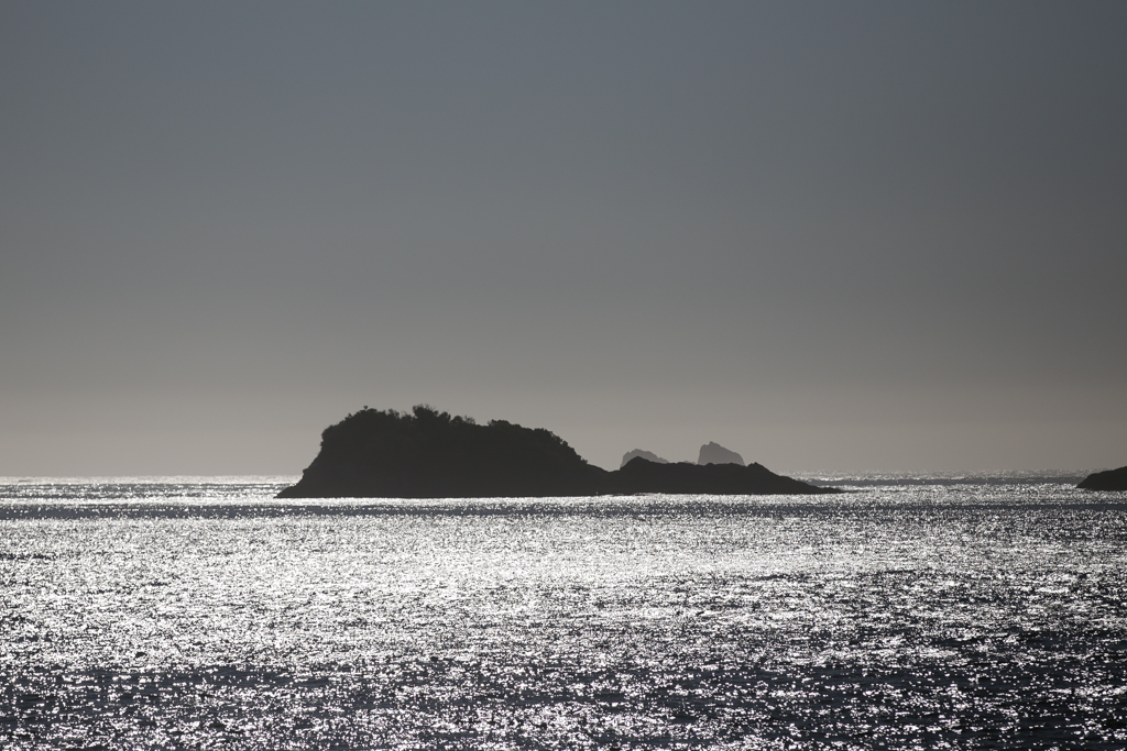 20160206 Doubtful Sound-9