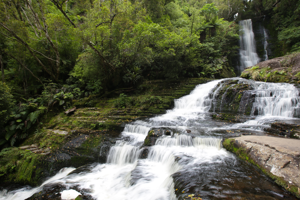 20160208 Catlins-8