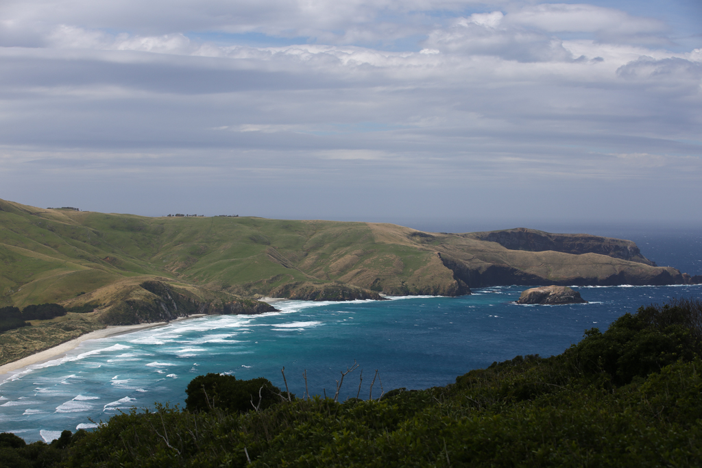 20160209 Otago Peninsula et Dunedin-13