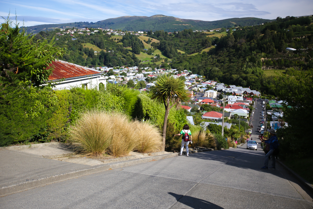 20160209 Otago Peninsula et Dunedin-7