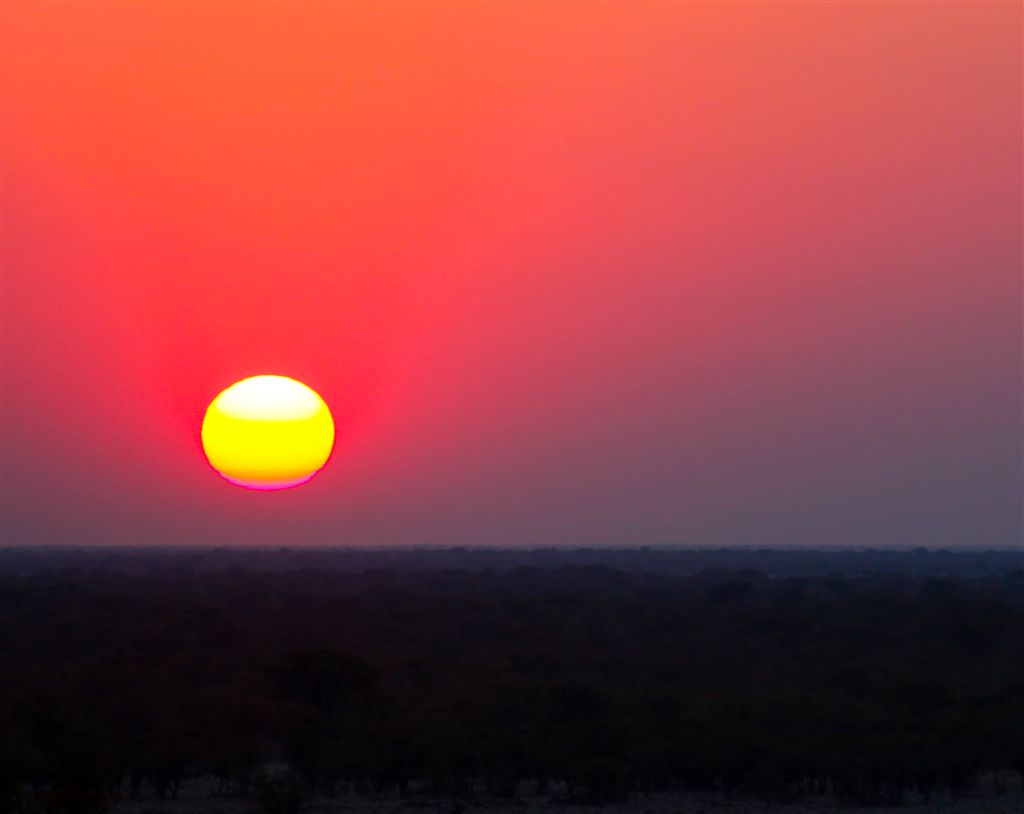 Magie du soleil couchant sur la savane africaine