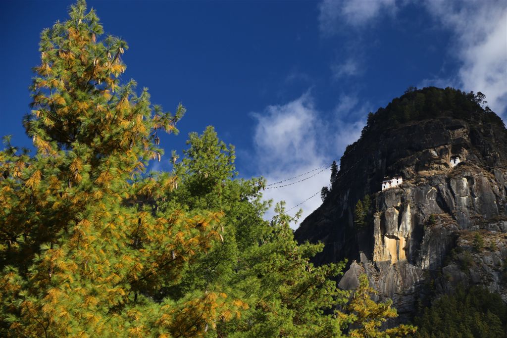 La falaise de Taksang depuis le point de départ de la mar