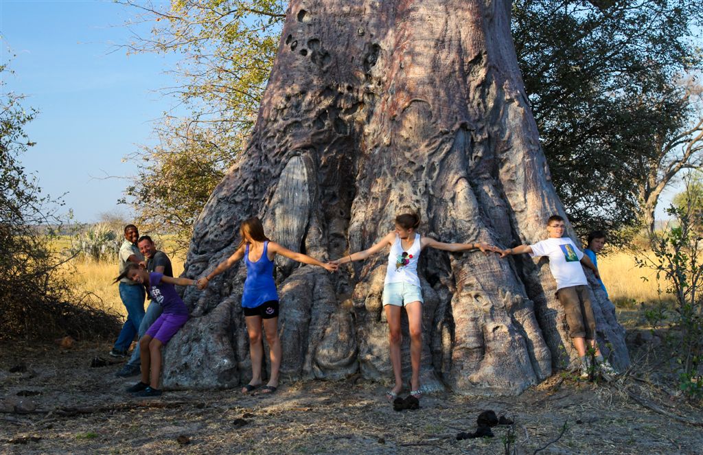 Tentative d'encerclement d'un baobab pour en connaître l'âge