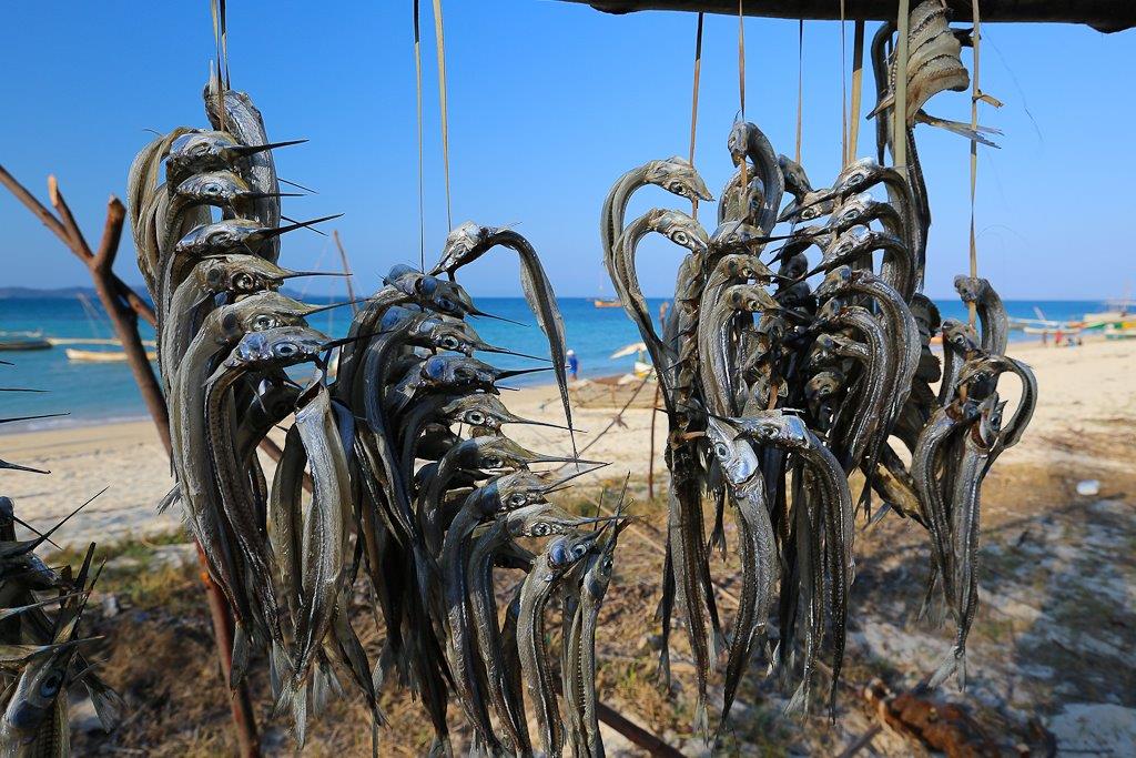 La pêche sèche sur la plage d'Antanimora