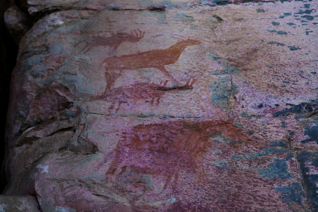Peintures San, vieilles de 3 000 ans