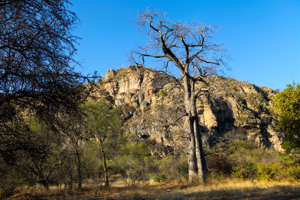 Baobab devant le rocher représentant la mère