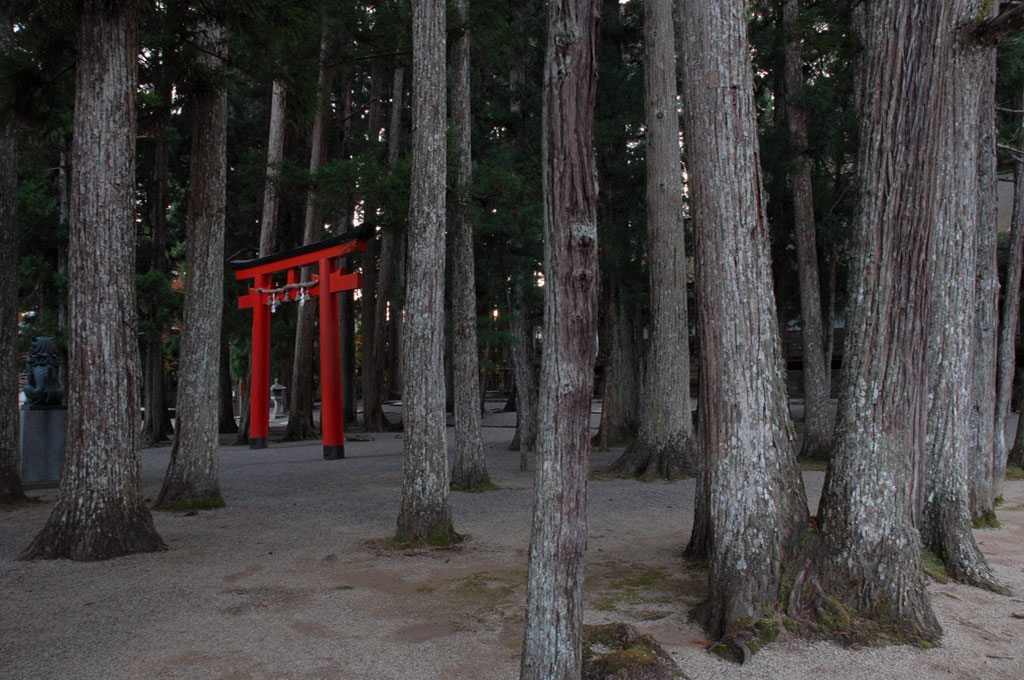 Typique Torii rouge