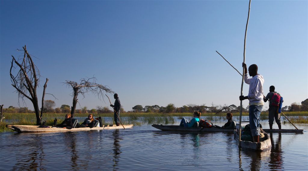 La troupe s'ébranle dans le delta de l'Okavango