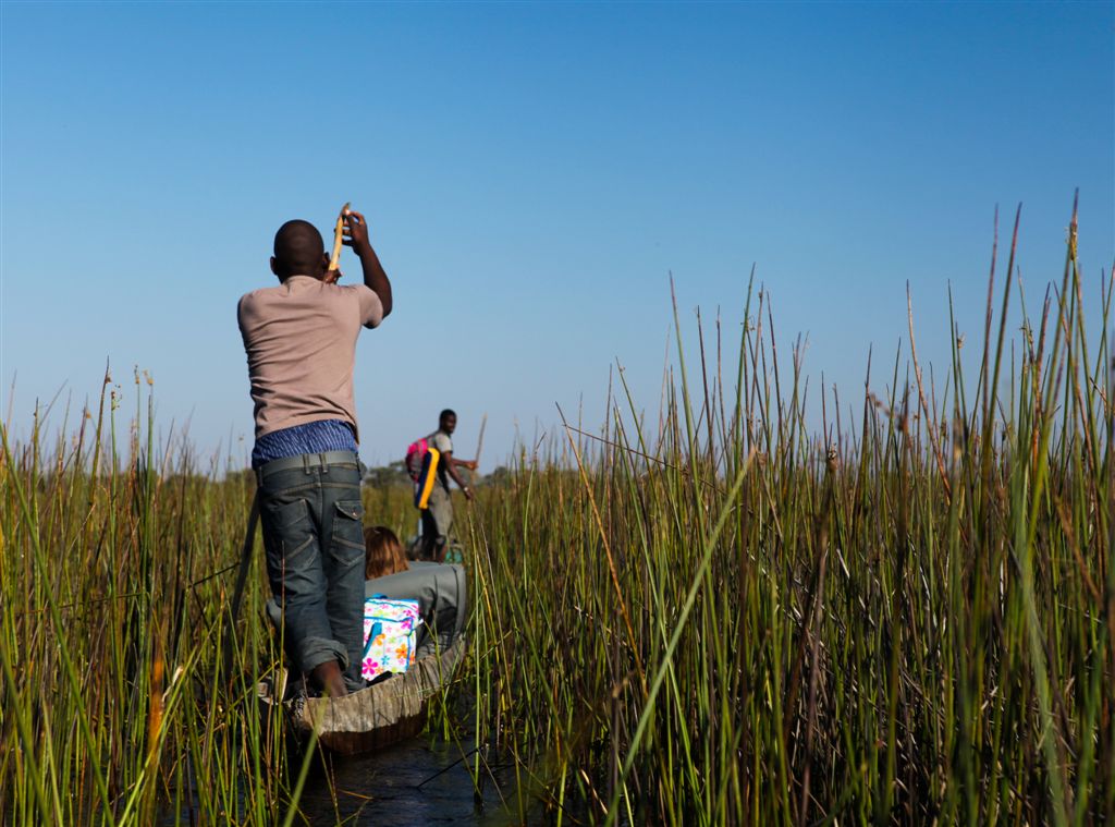 Mokoro dans un canal de l'Okavango