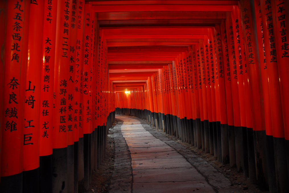 Fushimi Inari avec ses milliers de toriis. Kyoto