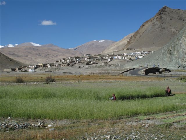 De Chumathang au Tso Kar, en passant par le Tsomoriri