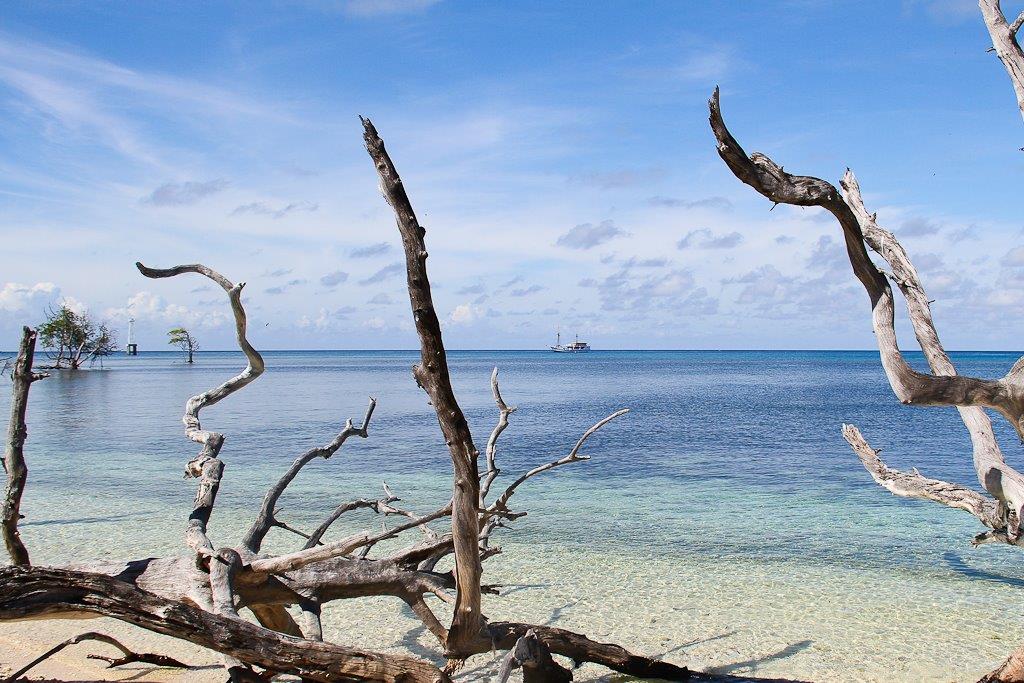 Depuis la mangrove de Sarege, notre bateau au loin