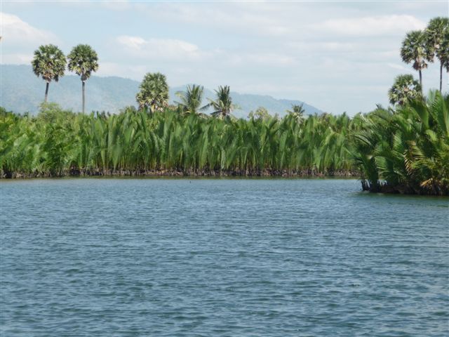 Autour de Kampot