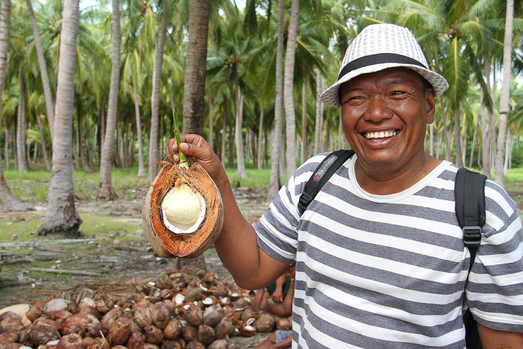 Agus, notre guide indonésien nous montre une noix de coco qui a germé