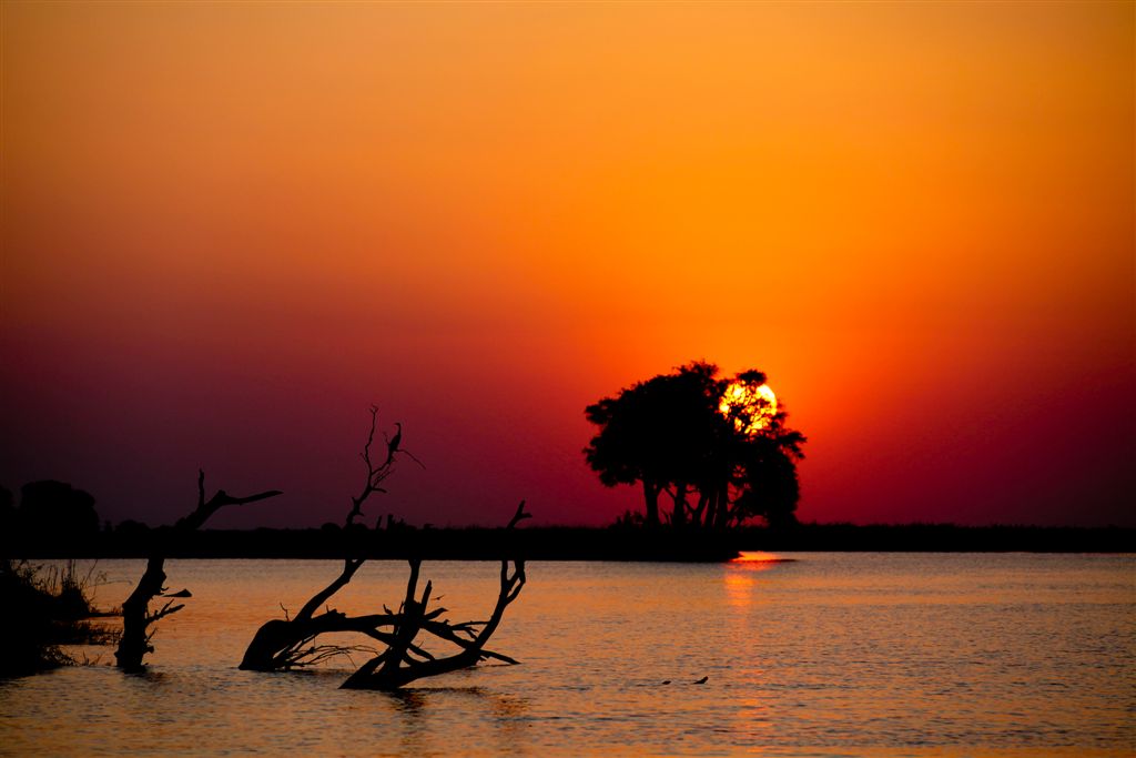 Coucher de soleil sur la rivière Chobe